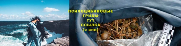 шишки Нязепетровск