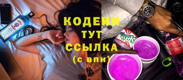 2c-b Новозыбков