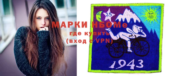 шишки Нязепетровск