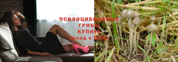2c-b Новозыбков