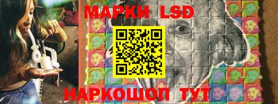 бошки Бийск