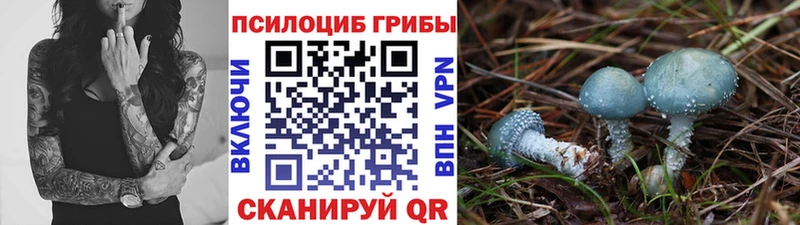 ОМГ ОМГ маркетплейс  Прохладный  Галлюциногенные грибы прущие грибы  где можно купить наркотик 