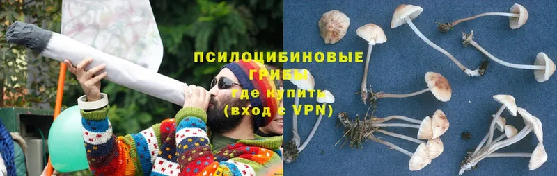 Галлюциногенные грибы MAGIC MUSHROOMS  Прохладный 