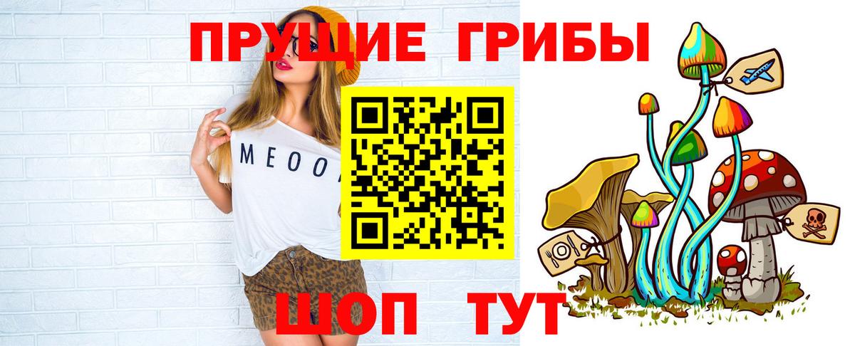 Псилоцибиновые грибы мицелий  Прохладный  купить  сайты  Псилоцибиновые грибы мухоморы 