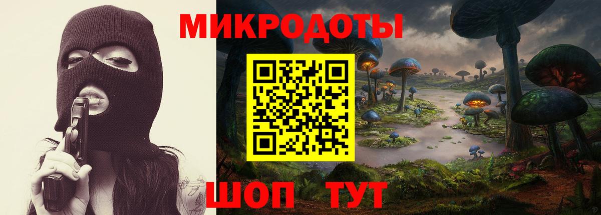 Псилоцибиновые грибы мицелий  Вход с VPN  Прохладный 