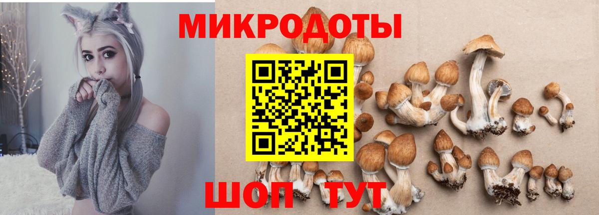 МАРИХУАНА  Прохладный  МЕФ   ГАШИШ  КОКАИН  А ПВП СОЛЬ кристаллы  Вход с VPN  Cocaine  МДМА 