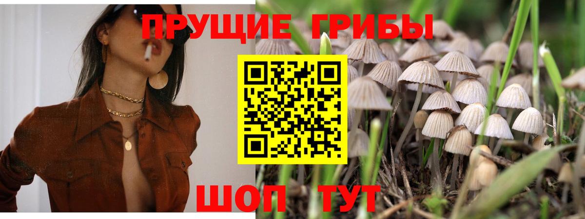 Галлюциногенные грибы прущие грибы Прохладный