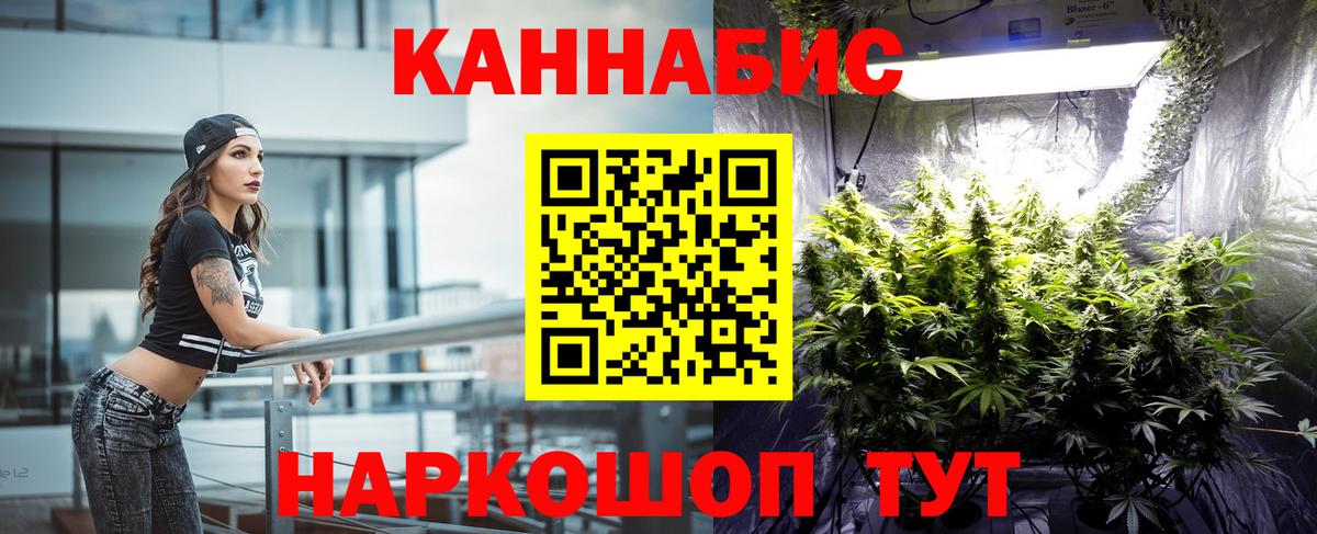 Канабис Bruce Banner  Прохладный  Марихуана Ganja  Шишки марихуана Bruce Banner 